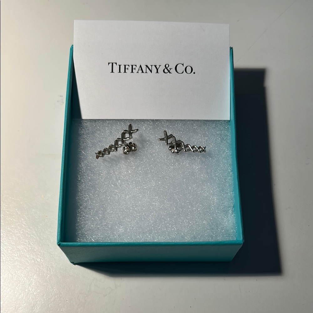 Tiffany & Co. Silver Spiral Earrings